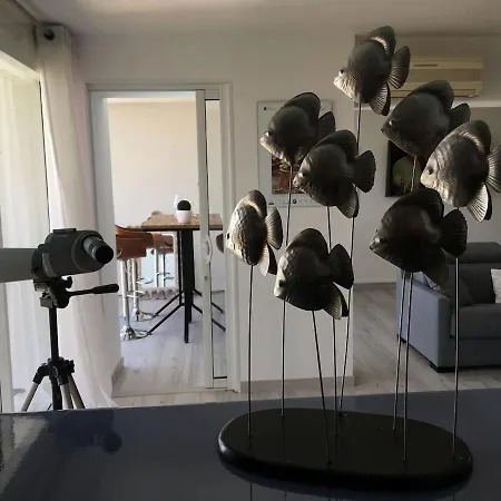 Un Panorama Sans Pareil A Tropez Appartement